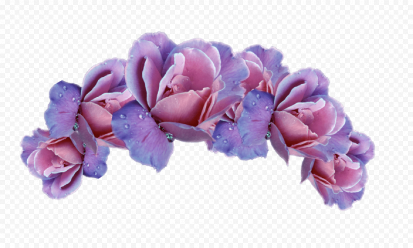 Flower Crown Download PNG Image