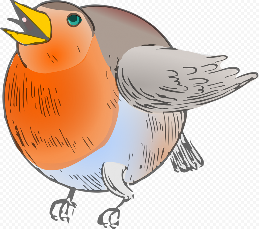 European Robin Bird Download PNG Image