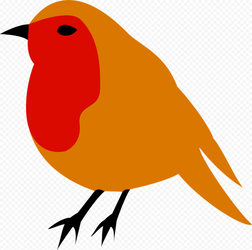 American Robin Bird PNG Download Image