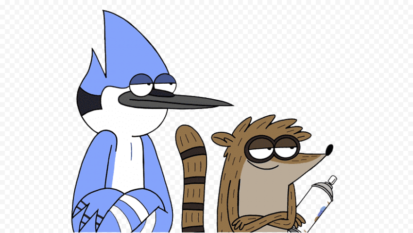 Blue Bird And Racoon PNG Transparent Image