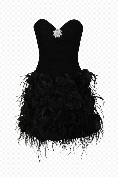 Dress PNG Image