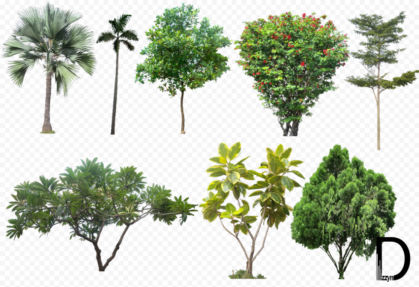 Landscape PNG Photos