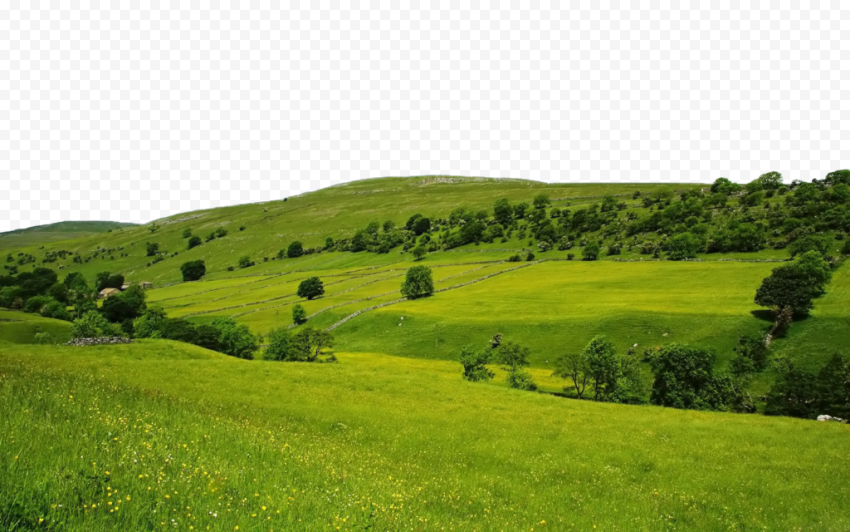 Landscape Green Field PNG File