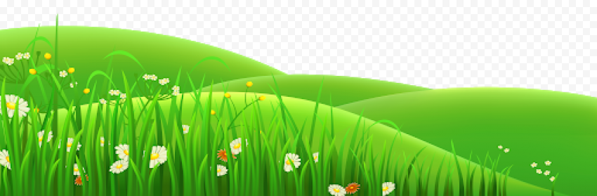 Landscape Grass Field Transparent Background