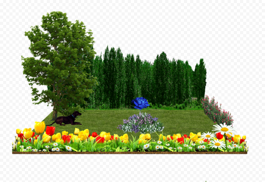 Flower Garden PNG Free Image