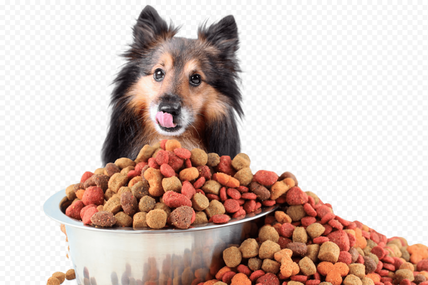 Dog Cat Nutrient Pet food Pet Shop, Dog food, food, animals, carnivoran png