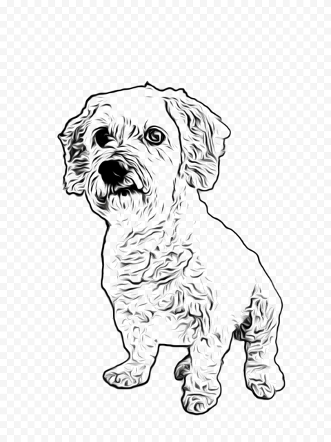 Cute Pet PNG Cutout HD