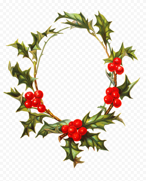 Round Christmas Frame PNG Photo