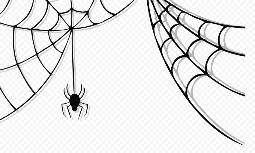 Halloween Spider PNG Picture