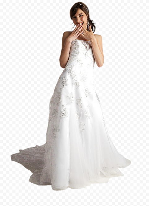 Bride PNG Pic Background