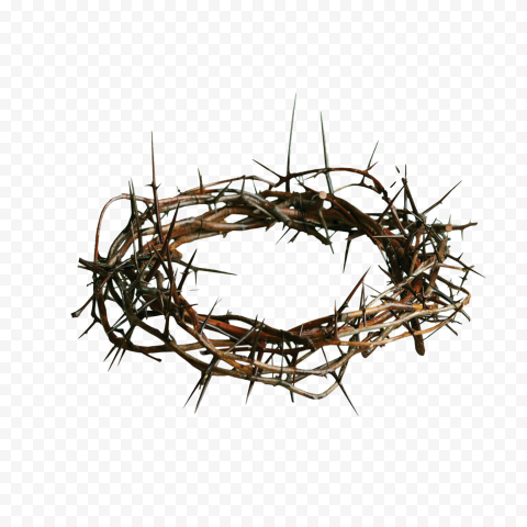 Thorns Transparent PNG