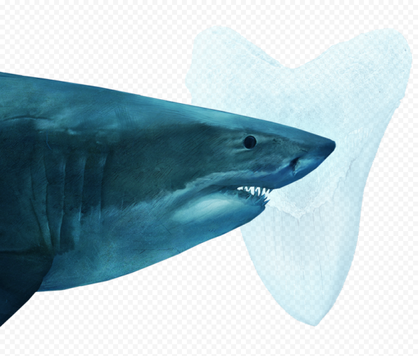 Face Megalodon Shark PNG File