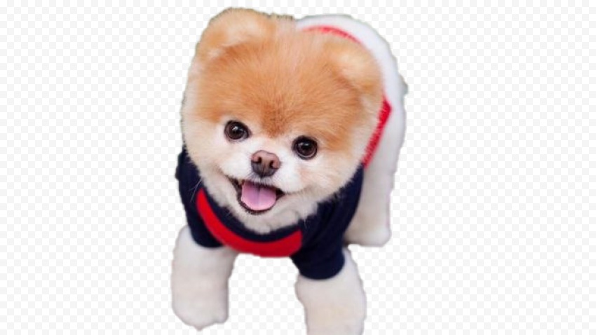 Boo PNG Photos 1