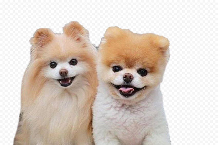 Boo PNG Background Image 1