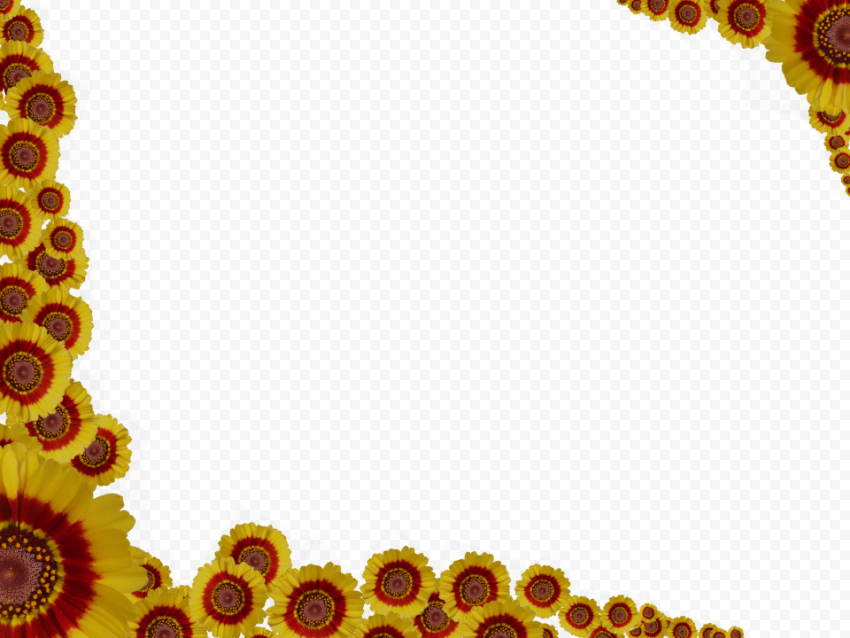 Flower Border PNG Isolated Image