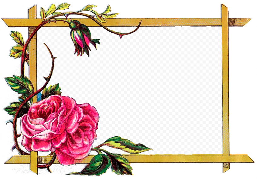 Flower Border PNG Isolated Photo