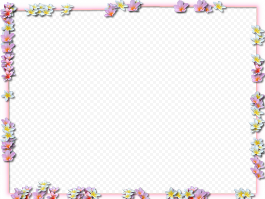 Flower Border Vector PNG HD