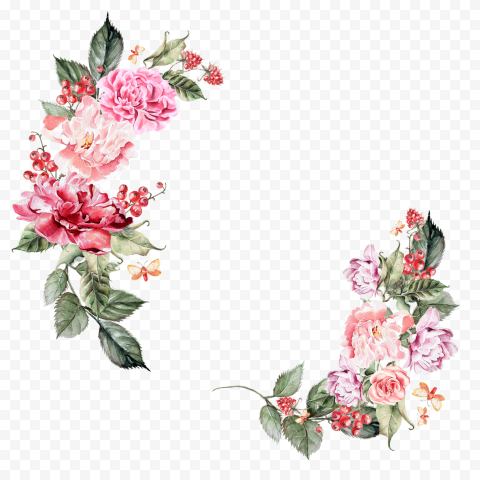 Flower Border Vector PNG Photo