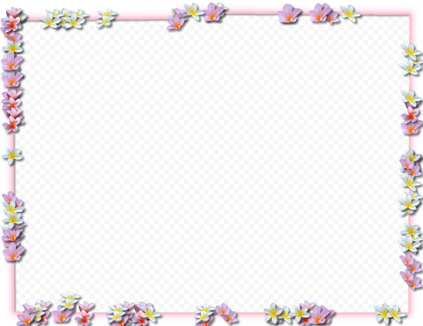 Flowers Border Frame PNG