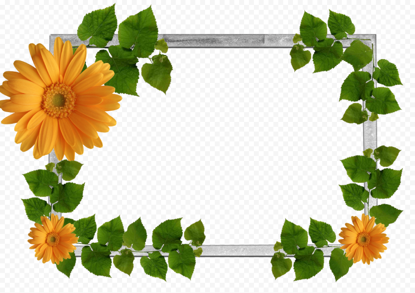 Leaf Frame PNG Photos