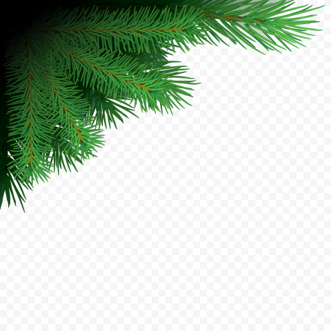Christmas Branches PNG Free Download