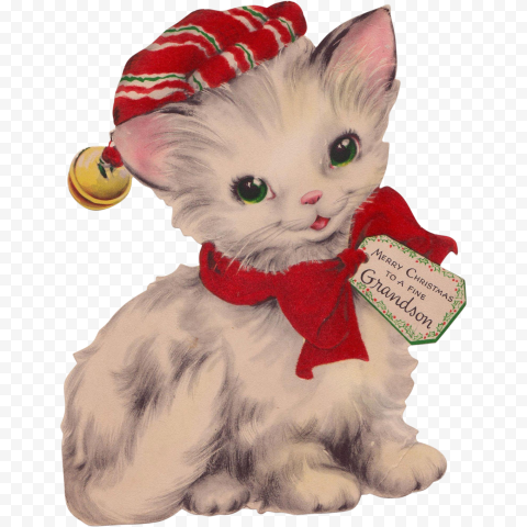 Cat Christmas PNG Transparent HD Photo