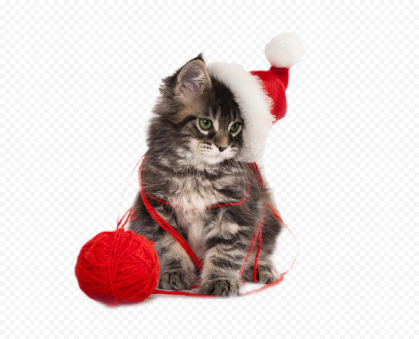 Christmas Kitten PNG HD