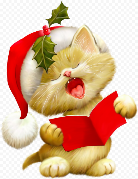 Cat Christmas PNG Pic