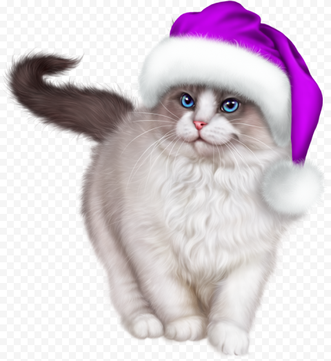 Cat Christmas Download PNG Image