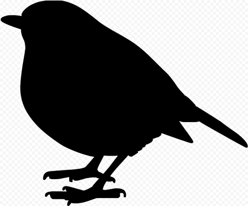 Christmas Bird PNG HD