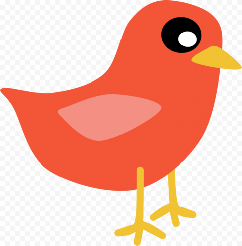 Christmas Bird PNG Pic
