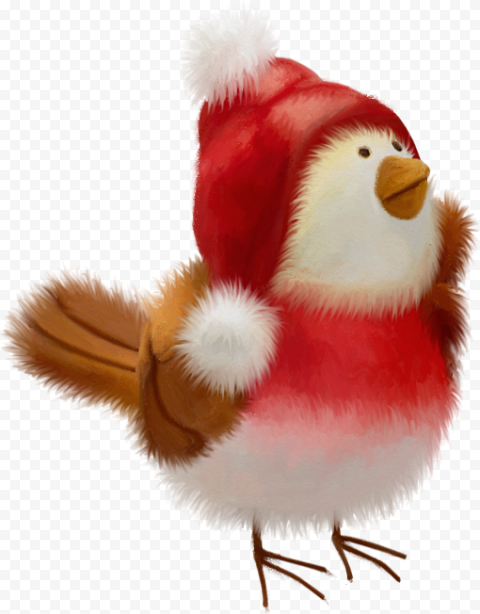 Christmas Bird PNG Transparent Image