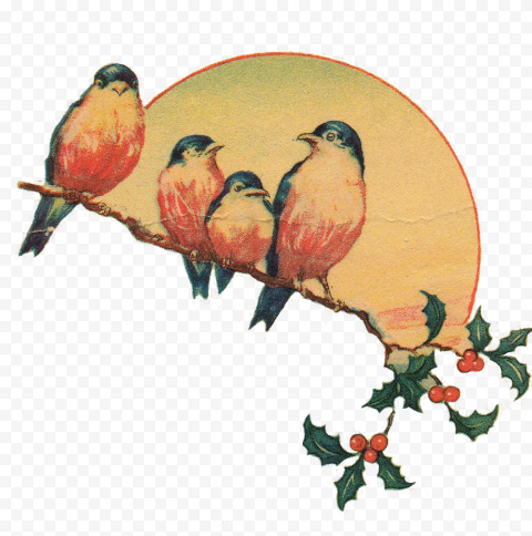 Christmas Bird PNG Picture