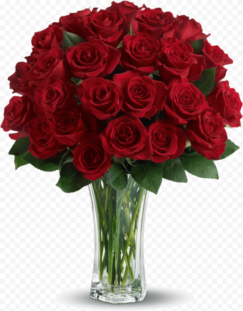 Valentines Day Rose PNG File