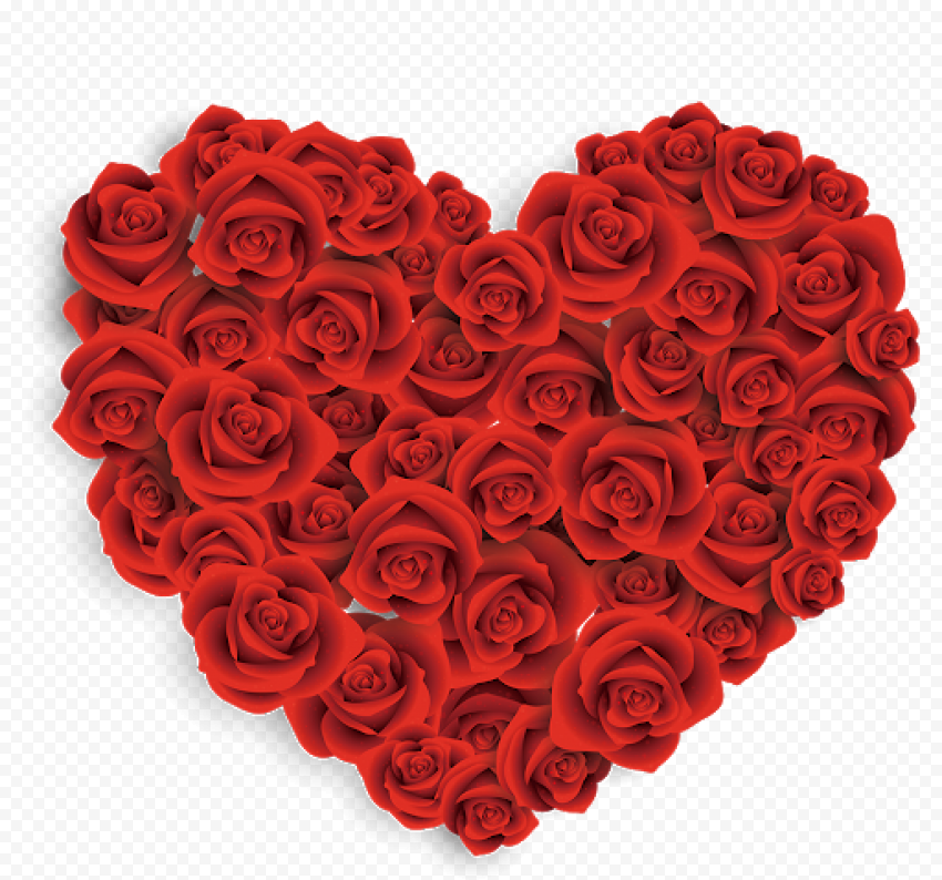 Valentines Day Rose Transparent Background