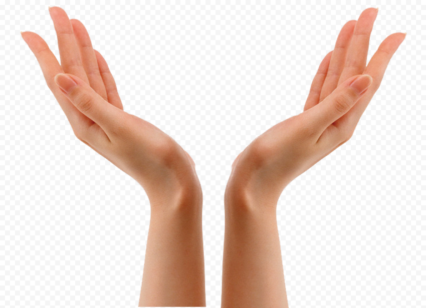 Hand graphy, Lifted hands, hands illustration, people, hands, hand Drawn