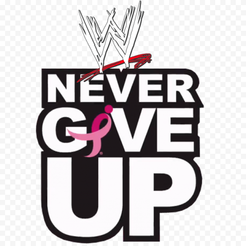 WWE Professional wrestling Never Give Up Child, wwe, child, text, professional Wrestling