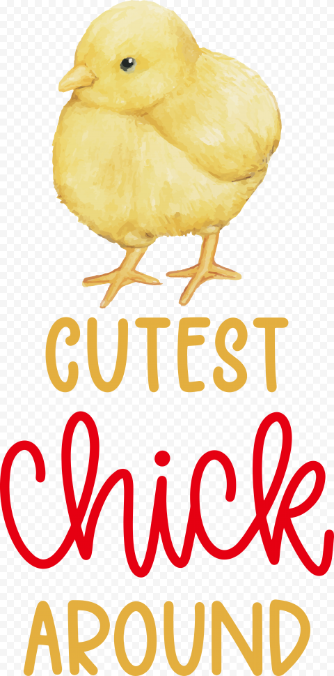 chick around