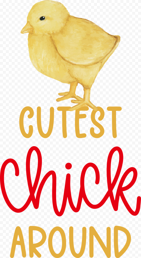 chick
