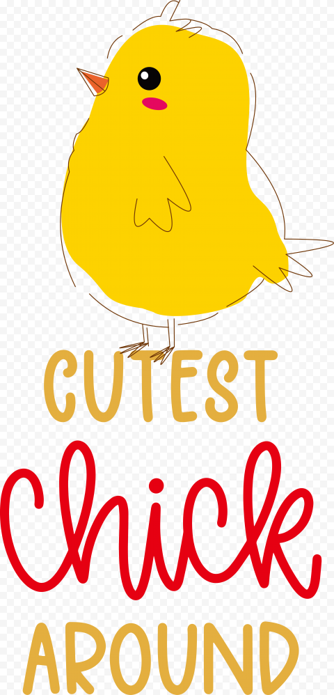 Cutest chick around, png