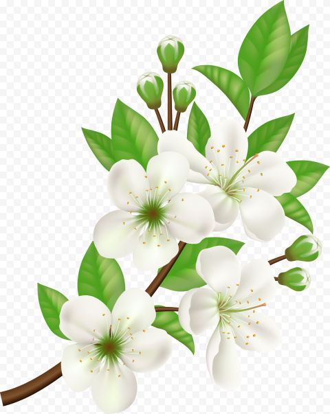 Computer Icons Flower, hand painted white flowers, watercolor Painting, flower Arranging, white