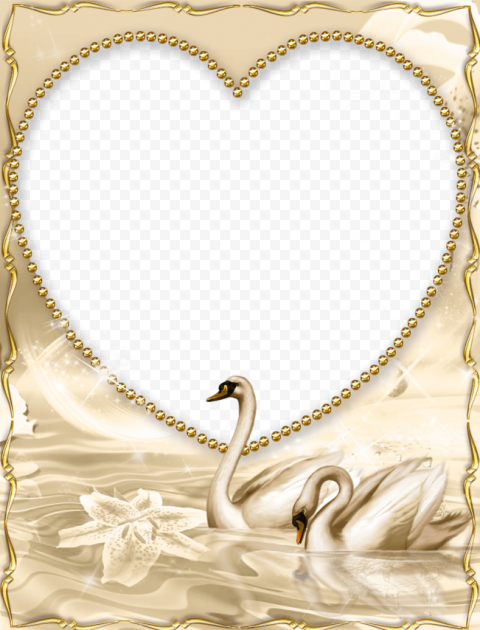 beautiful gold borders and frames 970x1273