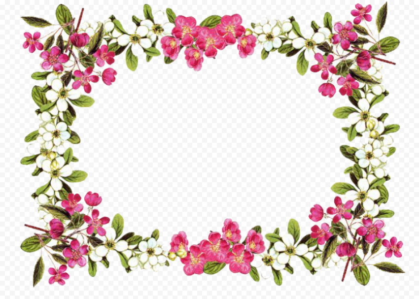 flowers borders png 736x525