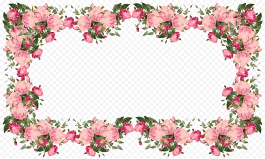 flowers borders transparent 736x442