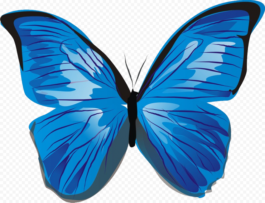Butterfly Illustration, Blue butterfly, blue, image File Formats, brush Footed Butterfly