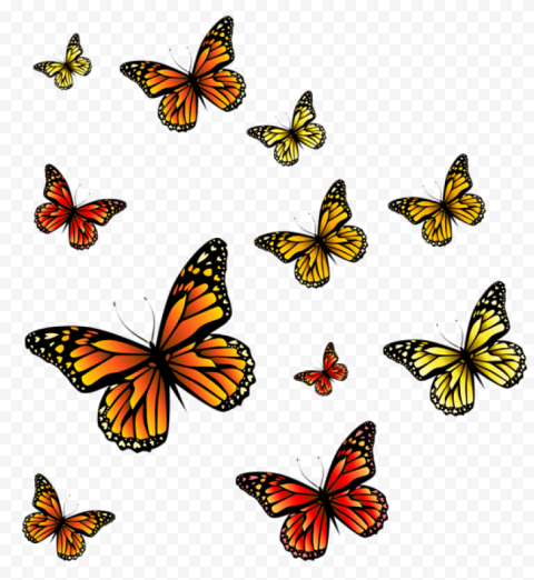 Download butterflies clipart