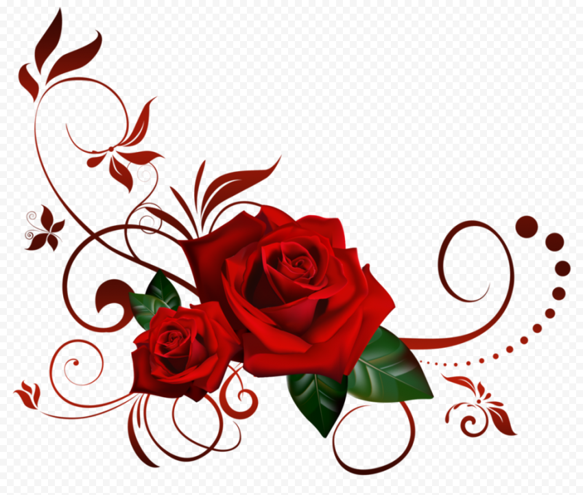 Red rose, Rose, Rose Corner s, love, flower Arranging, presentation