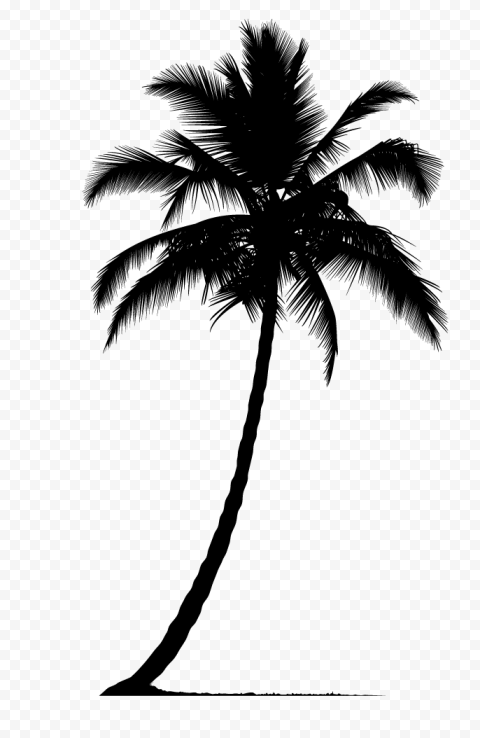 Arecaceae Silhouette Tree, Palm tree silhouette, leaf, monochrome, black