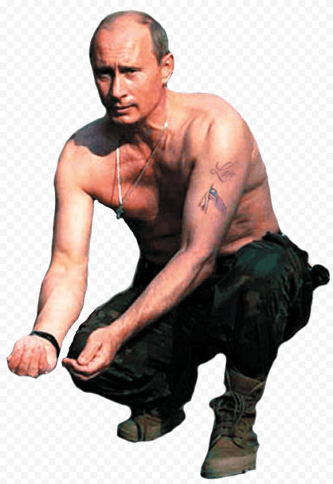 Man in green pants, Vladimir Putin The 38th G8 Summit, Vladimir Putin, celebrities, hand, sticker