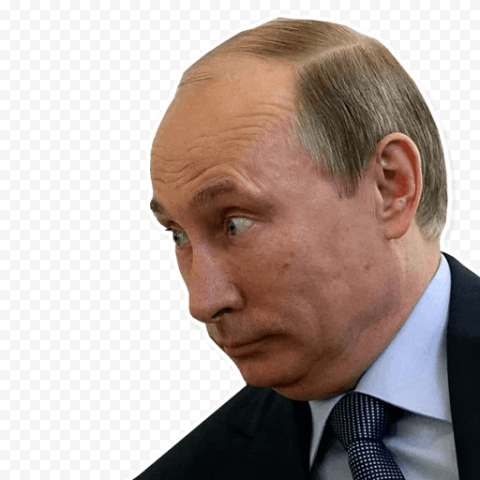 Vladimir Putin President of Russia Ukraine Moscow State University, vladimir putin, celebrities, head, sticker